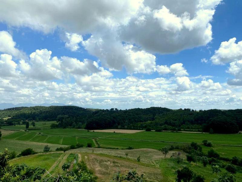 コッレサルヴェッティAgriturismo Fonte Belvedereアパートメント エクステリア 写真