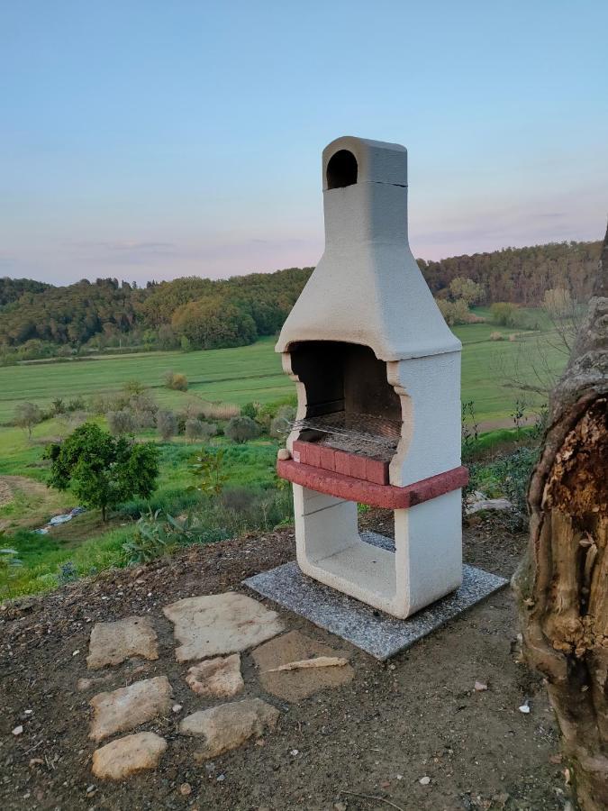 コッレサルヴェッティAgriturismo Fonte Belvedereアパートメント エクステリア 写真